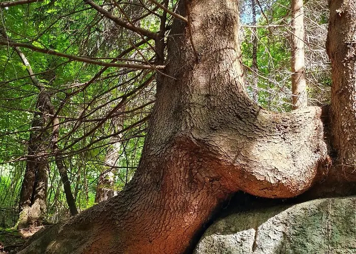 Moja Miłość. Apartament